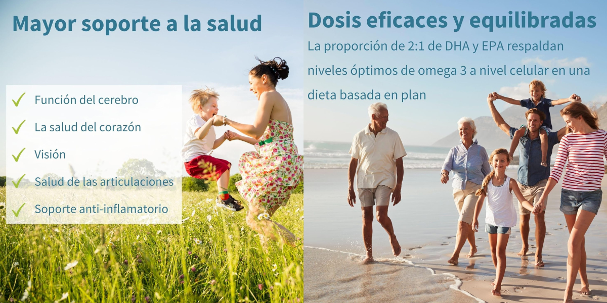 Aceite puro de Algas Omega 3 Vegano con DHA EPA y Astaxantina Aceite puro de Algas Omega 3 Vegano con DHA EPA y Astaxantina