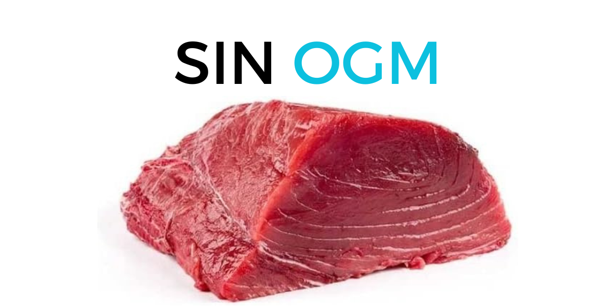 Guía Completa sobre los pescados sin OGM - No OGM