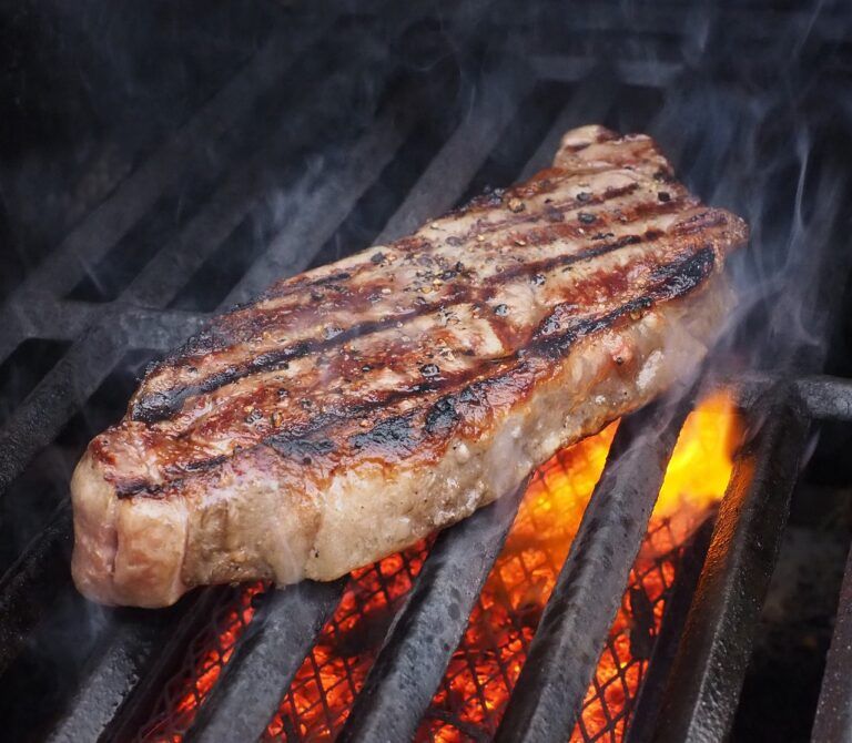 Guía completa del orgasmo femenino y masculino basada en evidencia científica 10 Láminas de Teflón para Parrillas, Barbacoa y Horno